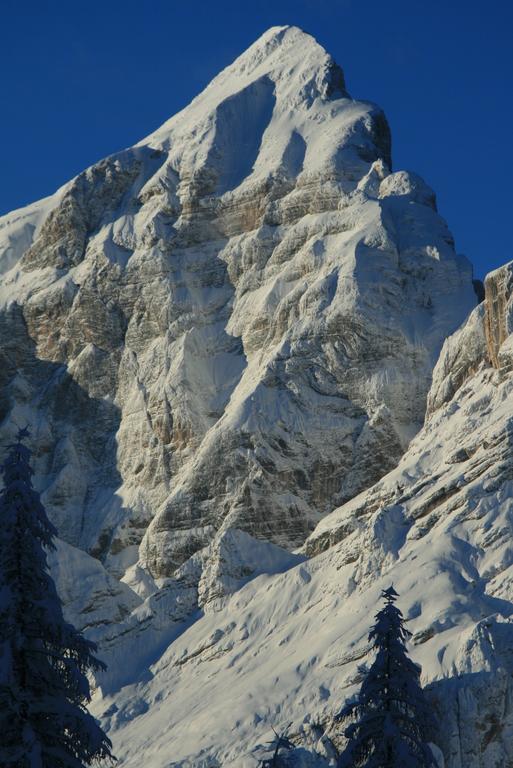 Hotel Rifugio Passo Staulanza Zoldo Alto Exteriér fotografie